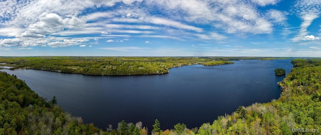 514/324 S Brook St, Michigamme, MI 49861 - water view featuring a forest