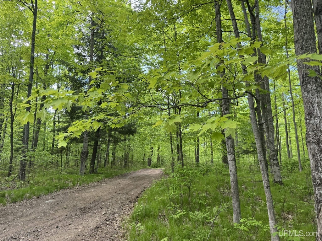 503 E Fischer Lake Pkwy, Niagara C-Wi, WI 54151