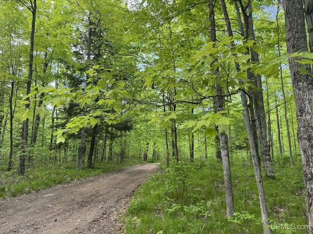 503 E Fischer Lake Pkwy, Niagara C-Wi, WI 54151