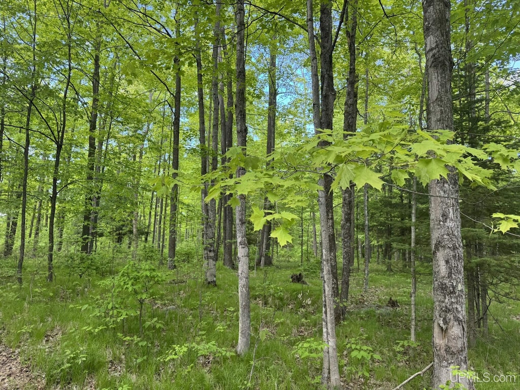 503 E Fischer Lake Pkwy, Niagara C-Wi, WI 54151