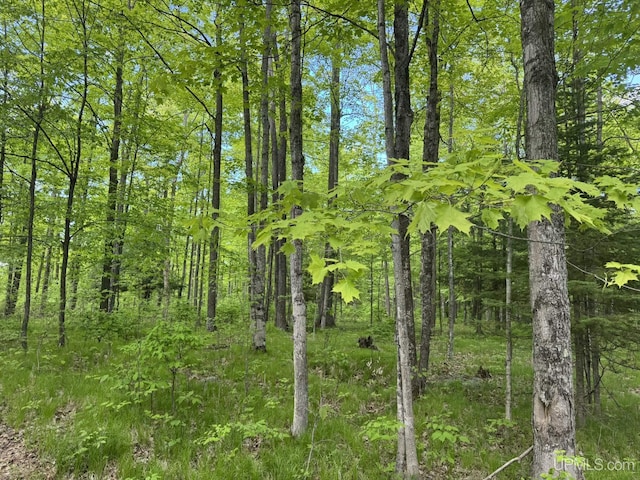 503 E Fischer Lake Pkwy, Niagara C-Wi, WI 54151