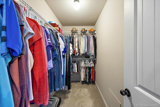 29696 Kevin Rd, New Baltimore, MI 48051 - walk in closet with carpet flooring
