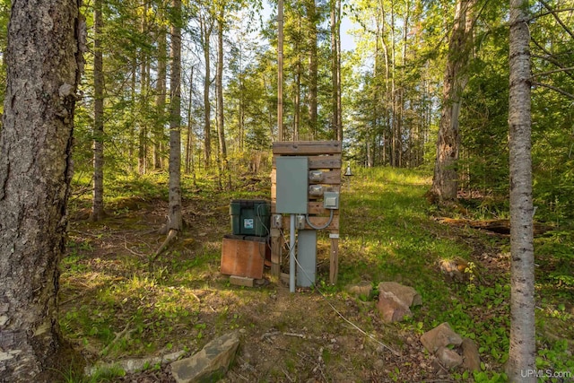 509 Red Rd, Michigamme, MI 49861 - exterior view of a heavily wooded area