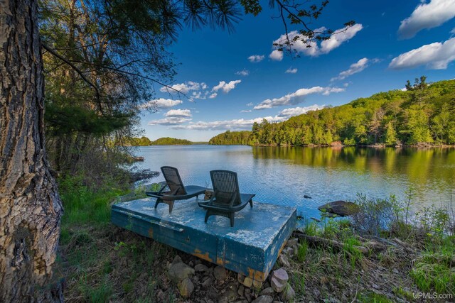 509 Red Rd, Michigamme, MI 49861 - dock featuring a view of trees and a water view