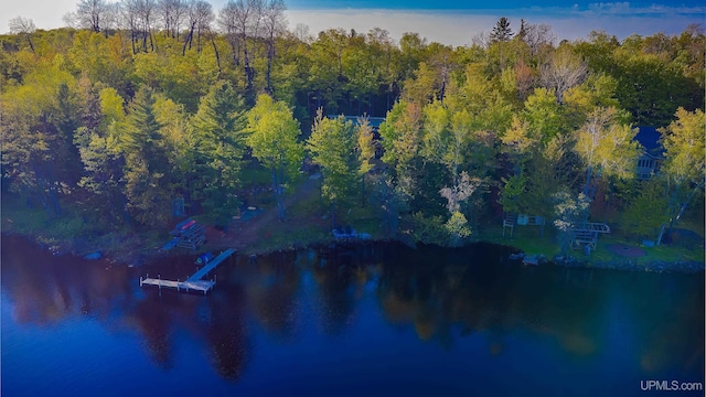 509 Red Rd, Michigamme, MI 49861 - bird's eye view of a forest and a large body of water