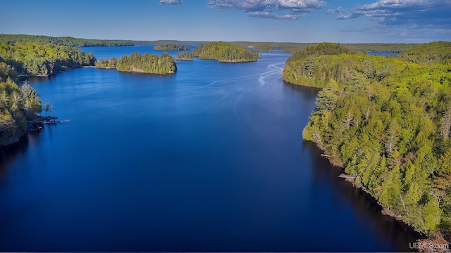 509 Red Rd, Michigamme, MI 49861 - drone / aerial view of a nearby body of water and a heavily wooded area
