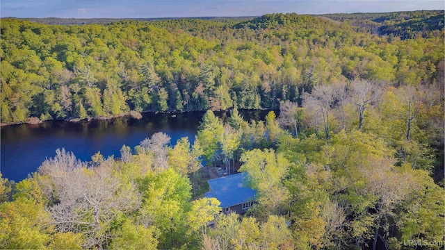 509 Red Rd, Michigamme, MI 49861 - aerial view of a heavily wooded area and a large body of water