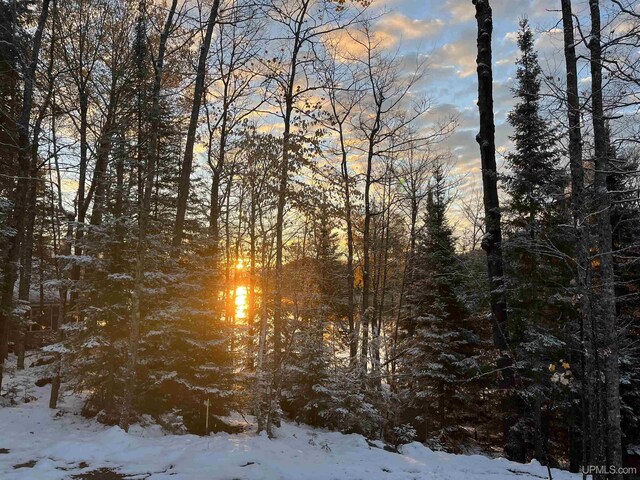 509 Red Rd, Michigamme, MI 49861 - view of snowy landscape