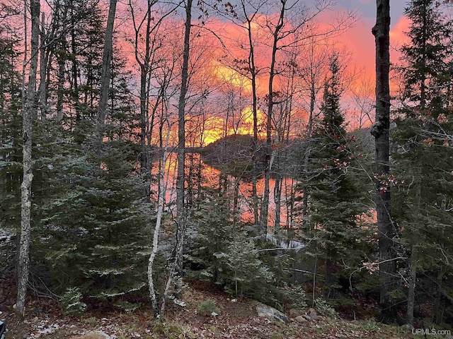 509 Red Rd, Michigamme, MI 49861 - view of tree filled area
