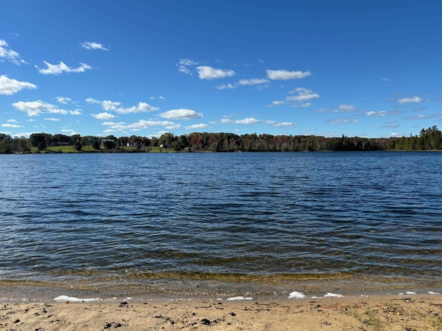 5316 Birchwood Ave, Gladwin, MI 48624 - water view
