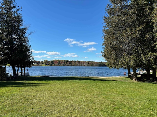 5316 Birchwood Ave, Gladwin, MI 48624 - water view