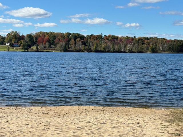 5316 Birchwood Ave, Gladwin, MI 48624 - water view