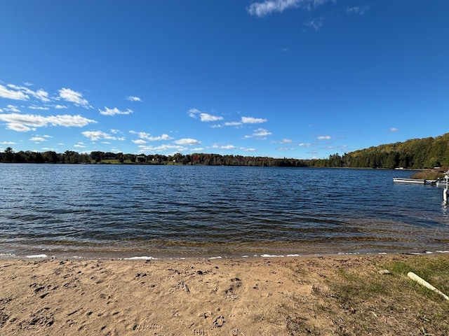5316 Birchwood Ave, Gladwin, MI 48624 - water view