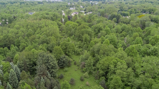 37207 27 Mile Rd, Roads, Lenox, MI 48048 - aerial view of a forest