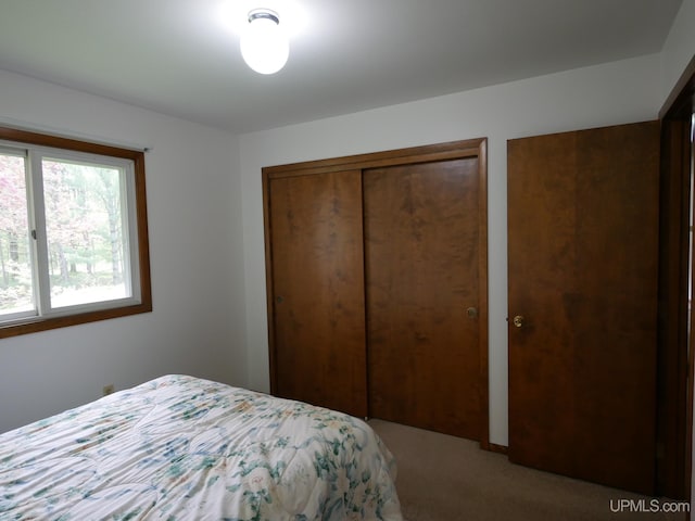 26514 Hendrickson Rd, Calumet, MI 49913 - view of carpeted bedroom