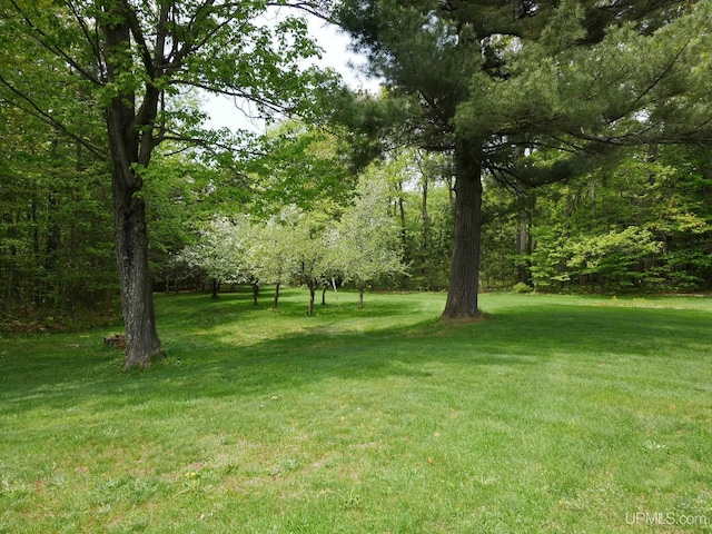 26514 Hendrickson Rd, Calumet, MI 49913 - view of grassy yard
