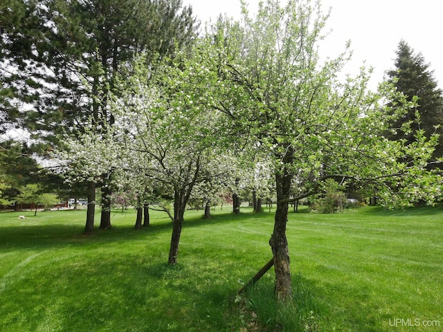 26514 Hendrickson Rd, Calumet, MI 49913 - view of green lawn