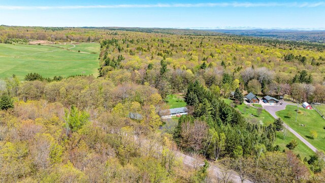 26514 Hendrickson Rd, Calumet, MI 49913 - bird's eye view of a forest