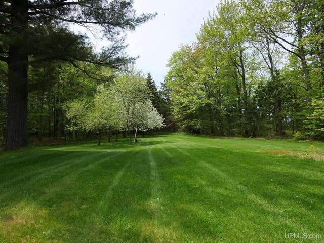 26514 Hendrickson Rd, Calumet, MI 49913 - view of green lawn