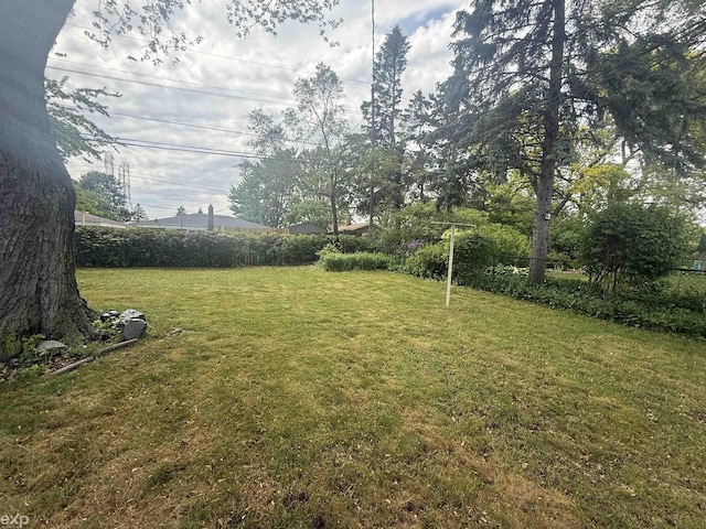 26167 Fairfield Ave, Warren, MI 48089 - view of yard