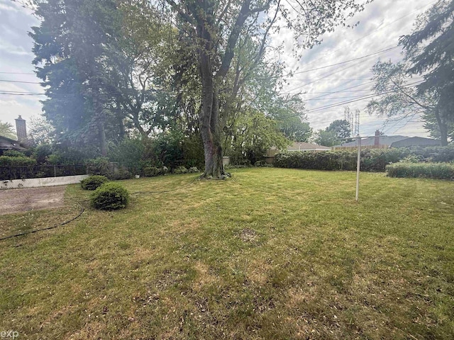 26167 Fairfield Ave, Warren, MI 48089 - view of yard