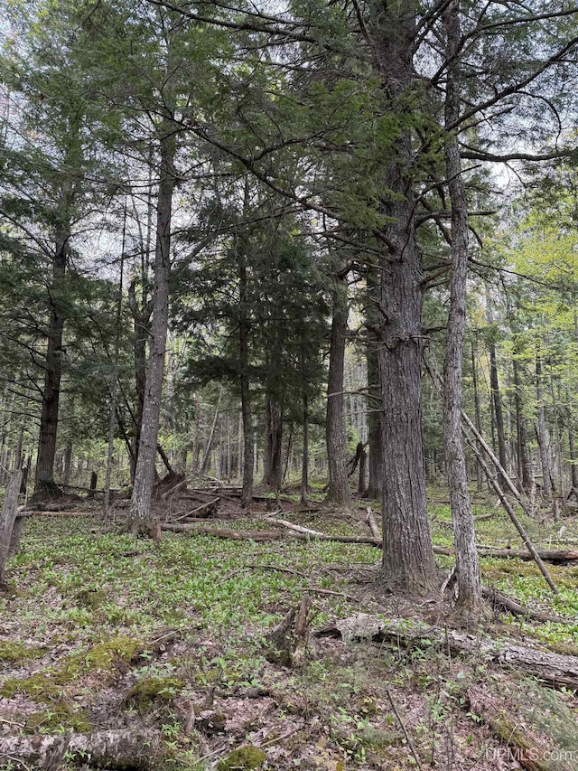 TBD Sandstone Rd, Lake Linden, MI 49945