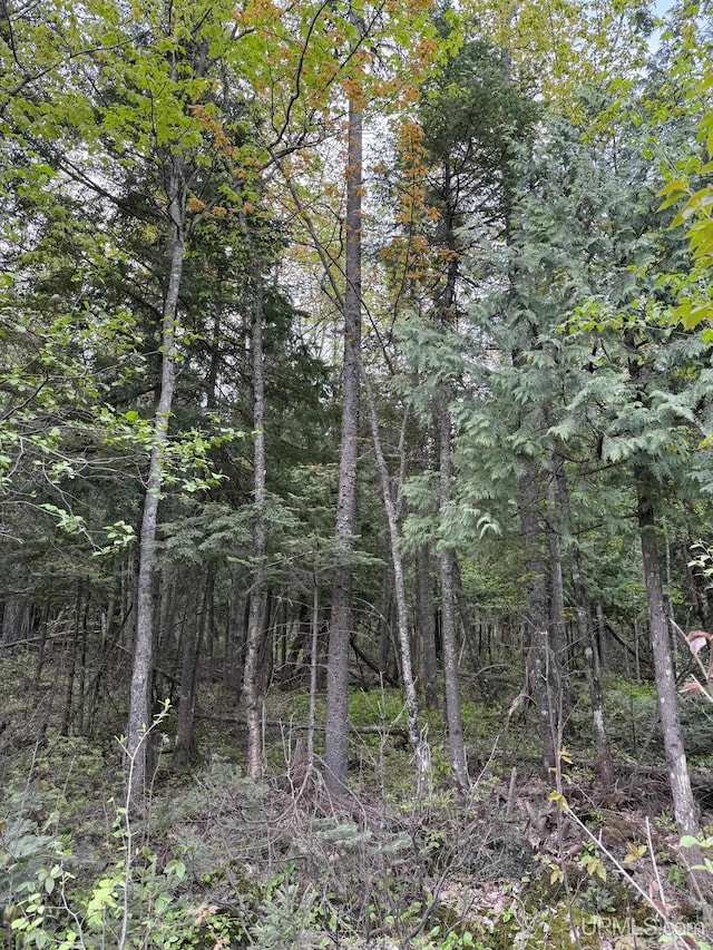 TBD Sandstone Rd, Lake Linden, MI 49945