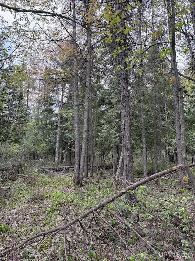 TBD Sandstone Rd, Lake Linden, MI 49945