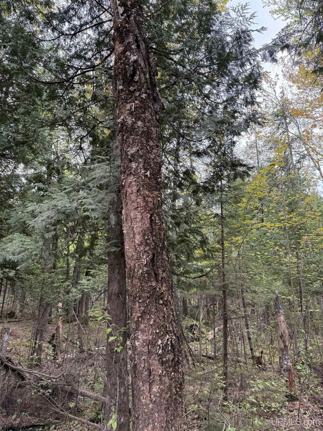 TBD Sandstone Rd, Lake Linden, MI 49945