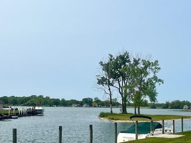 727 Townsend Dr, Algonac, MI 48001 - water view featuring a boat dock