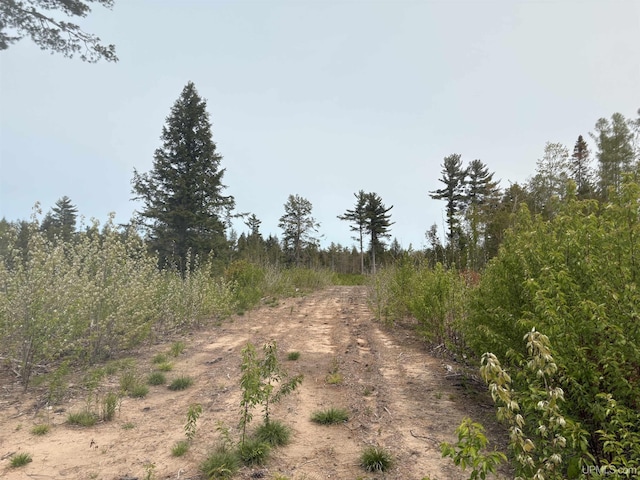 TBDNPCL1 Kunde Rd, Skandia, MI 49885