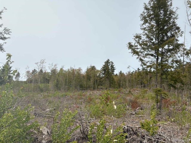 TBDNPCL1 Kunde Rd, Skandia, MI 49885