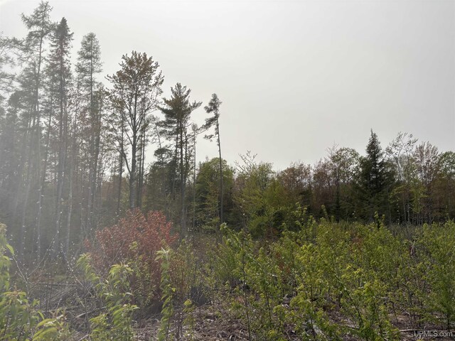 TBDNPCL1 Kunde Rd, Skandia, MI 49885