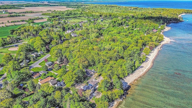 8735 Blackberry Ln, Port Austin, MI 48467 - aerial view of property and surrounding area featuring a nearby body of water and a heavily wooded area