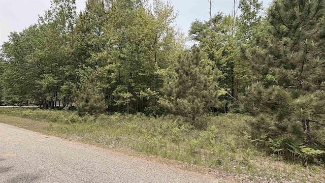 12090 Lila Ct, Stanwood, MI 49346