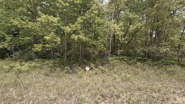 12090 Lila Ct, Stanwood, MI 49346