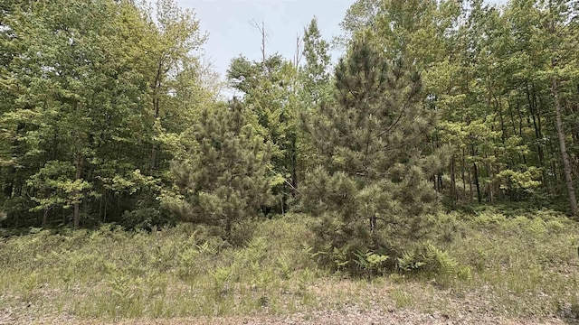 12090 Lila Ct, Stanwood, MI 49346