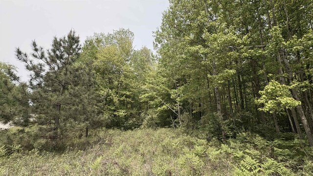 12090 Lila Ct, Stanwood, MI 49346