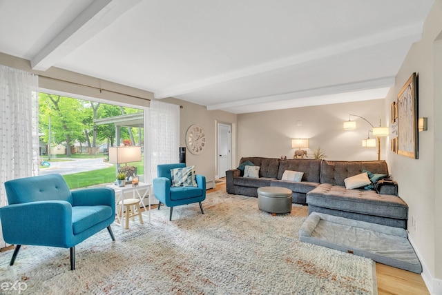 3365 Hickory Ln, Port Huron, MI 48060 - living area with beam ceiling, wood finished floors, baseboards, and a baseboard heating unit