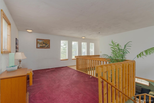 4427 Tip Up Trl, Eagle River, WI 54521 - hallway featuring an upstairs landing and carpet flooring