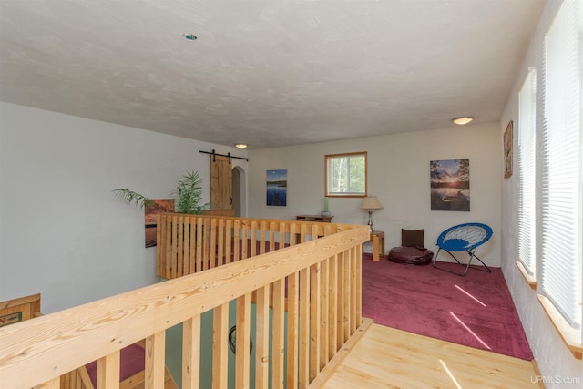 4427 Tip Up Trl, Eagle River, WI 54521 - hall with a barn door and light wood finished floors