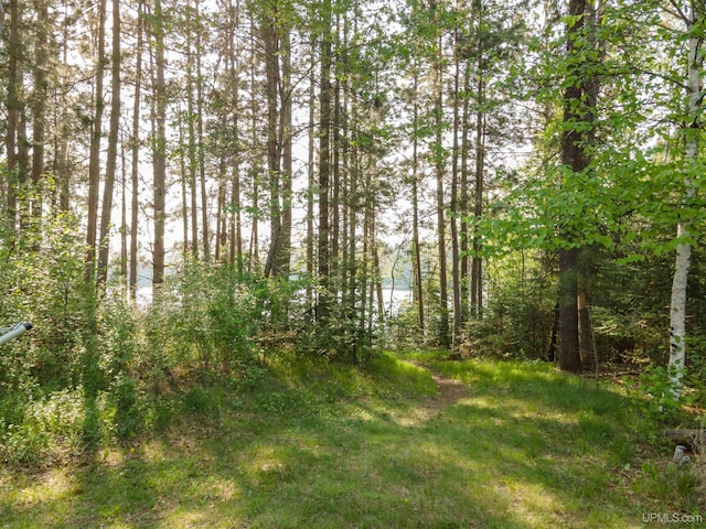 4427 Tip Up Trl, Eagle River, WI 54521 - view of tree filled area