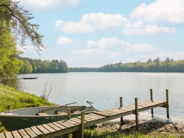 4427 Tip Up Trl, Eagle River, WI 54521 - dock area featuring a water view and a view of trees
