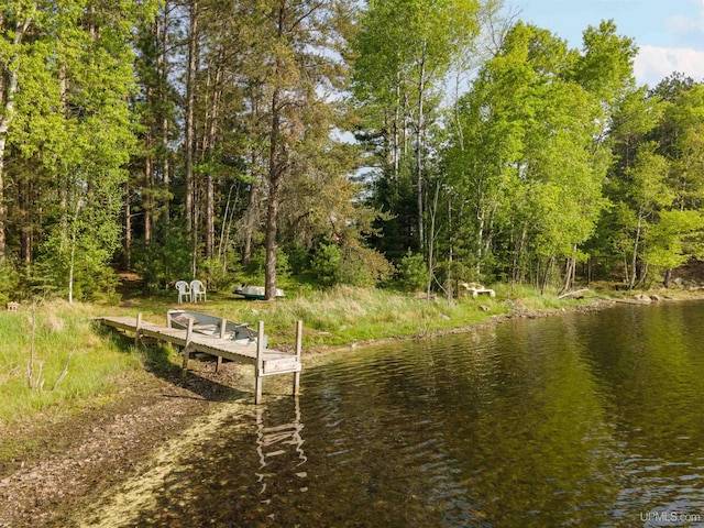 4427 Tip Up Trl, Eagle River, WI 54521 - dock area with a water view