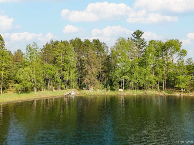 4427 Tip Up Trl, Eagle River, WI 54521 - water view with a forest