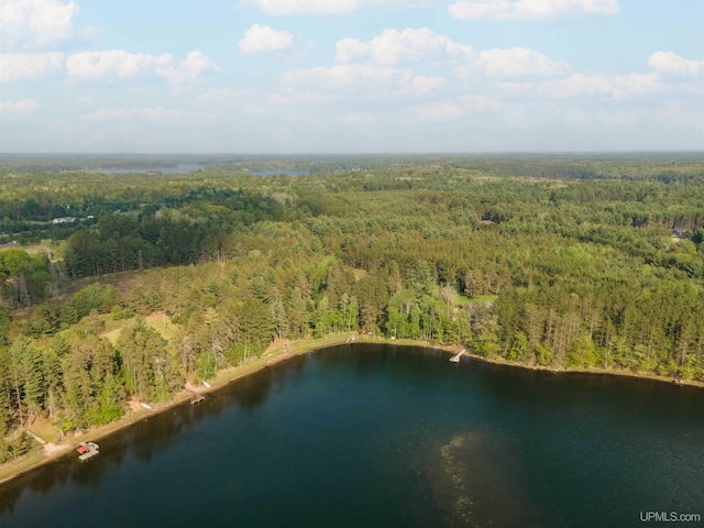 4427 Tip Up Trl, Eagle River, WI 54521 - view of property location featuring a heavily wooded area and a nearby body of water