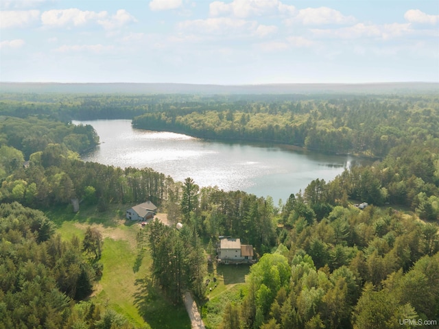 4427 Tip Up Trl, Eagle River, WI 54521 - aerial overview of property's location with a forest and a nearby body of water