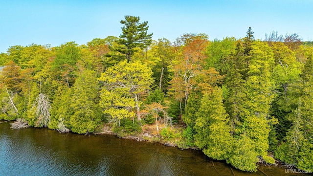 TBD4AAND4B Frimodig Rd, Eagle Harbor, MI 49950
