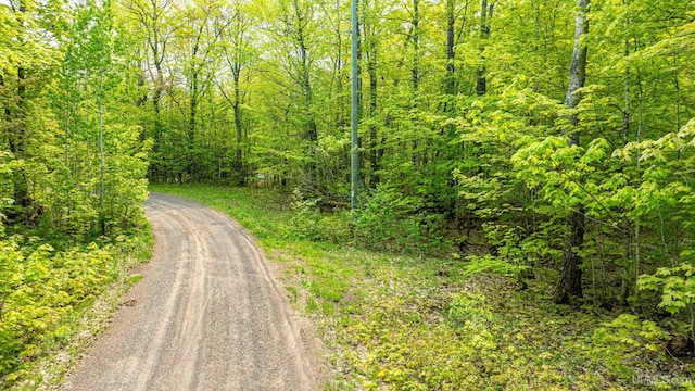 TBD4AAND4B Frimodig Rd, Eagle Harbor, MI 49950