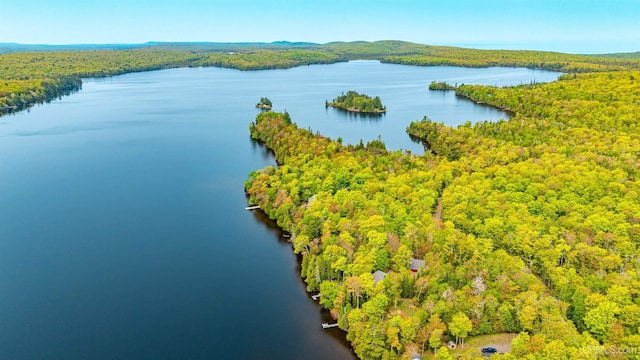 TBD4AAND4B Frimodig Rd, Eagle Harbor, MI 49950